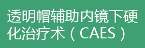 透明帽輔助內(nèi)鏡下硬化治療術(shù)（CAES）