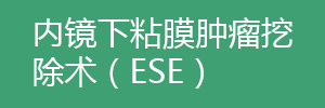 內(nèi)鏡下粘膜腫瘤挖除術(shù)（ESE）