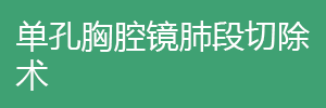 單孔胸腔鏡肺段切除術(shù)