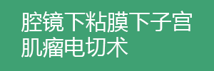 宮腔鏡下粘膜下子宮肌瘤電切術