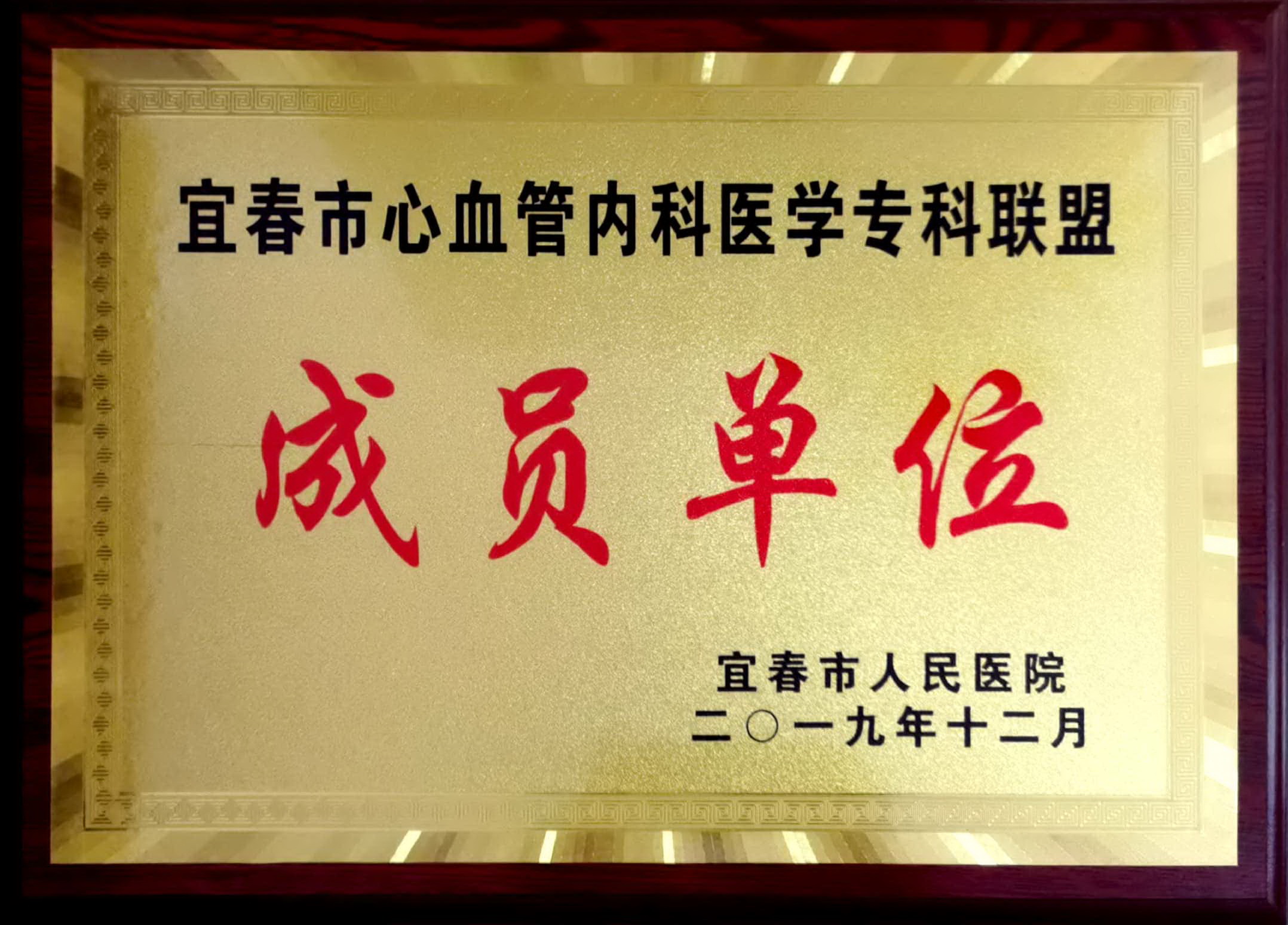 宜春市人民醫(yī)院專科聯(lián)盟牌