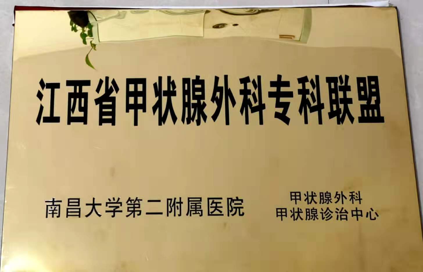 江西省甲狀腺專科聯(lián)盟