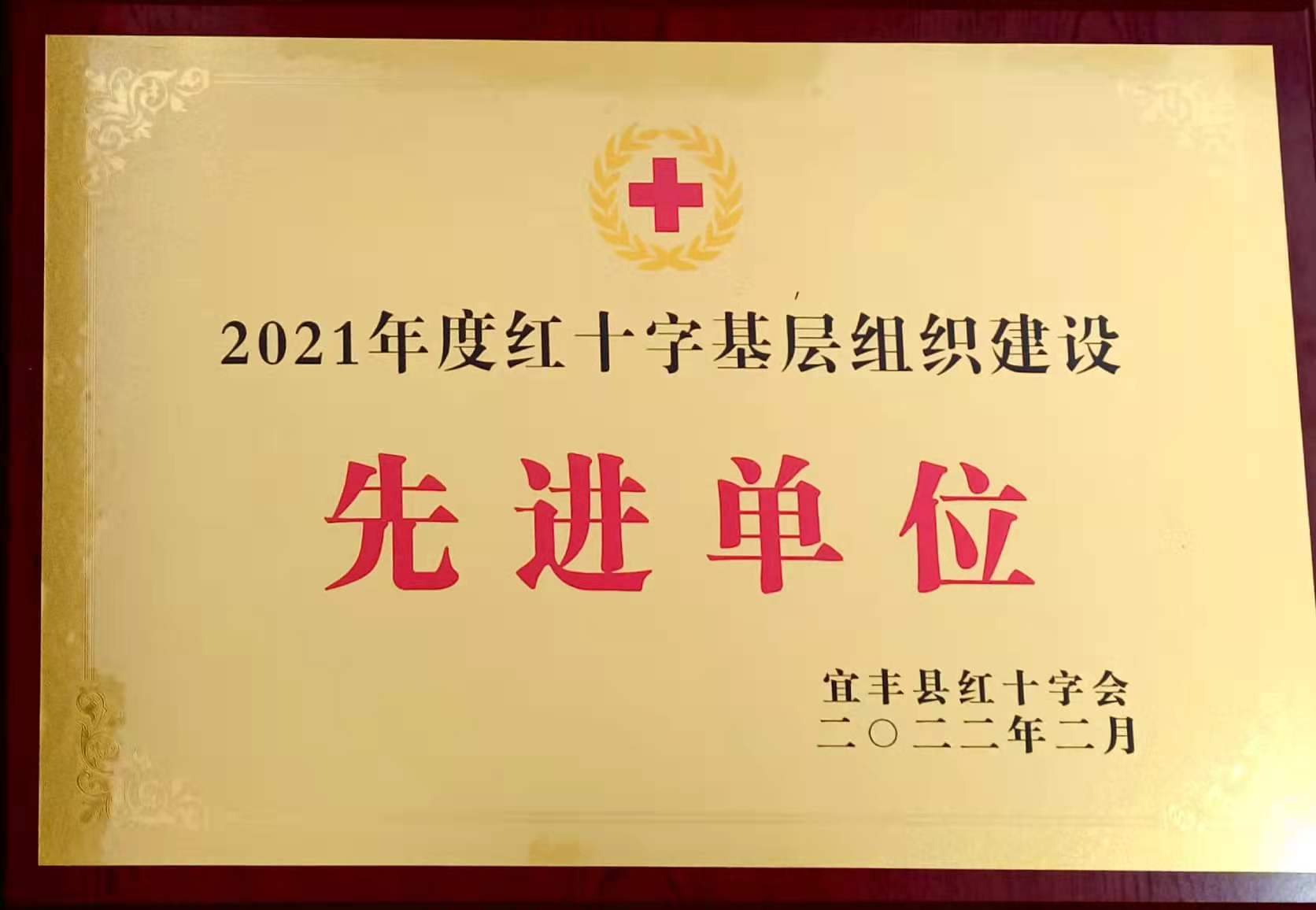 紅十字先進單位